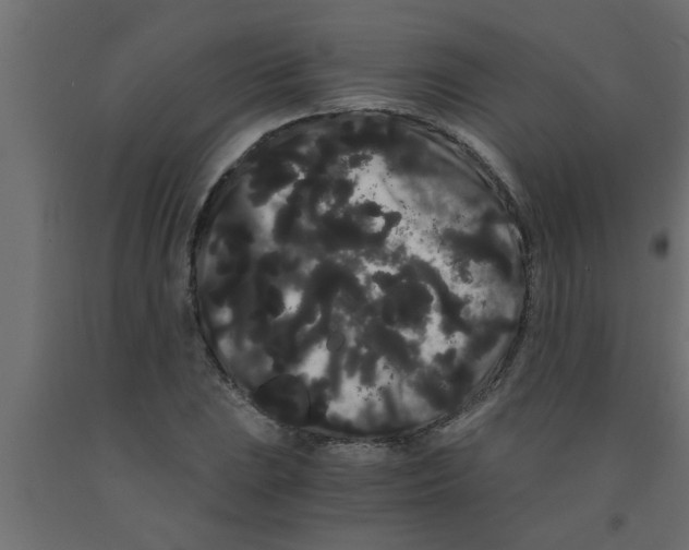 X0000090861023200708241854