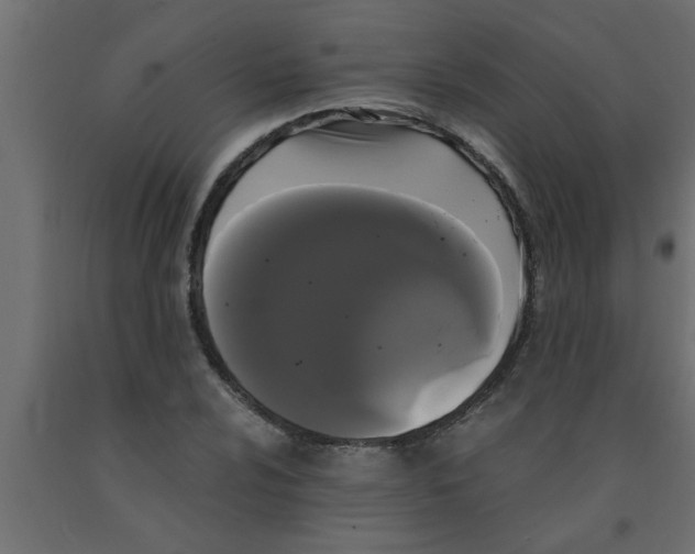 X0000090861024200708241854