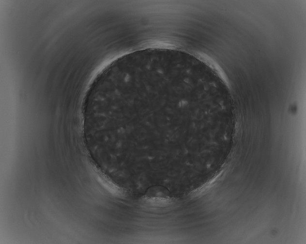 X0000090861027200708241854