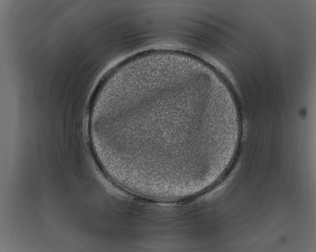 X0000090861029200708241854