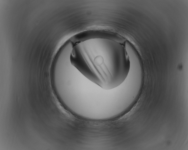 X0000090861030200708241854