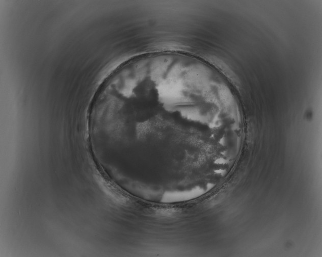 X0000090861031200708241854