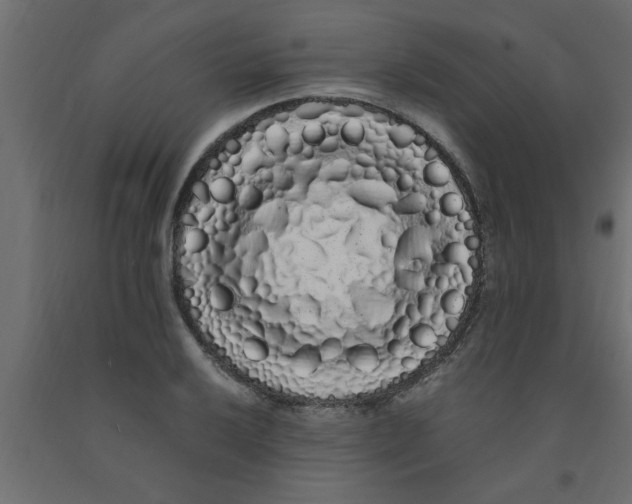 X0000090861032200708241854