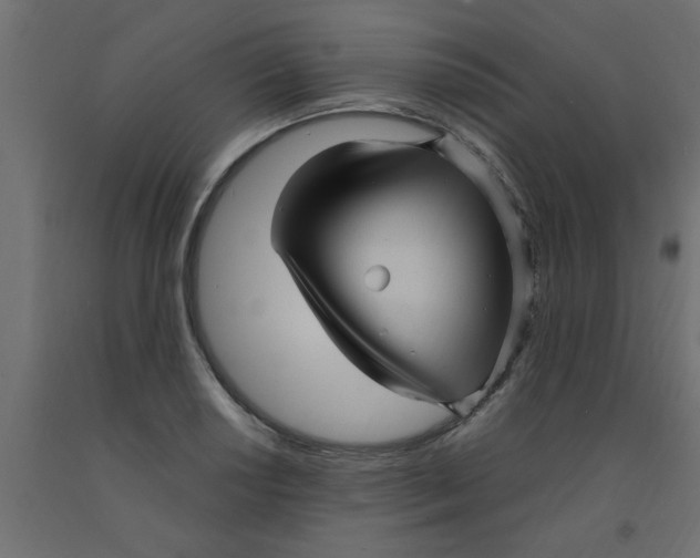 X0000090861034200708241854