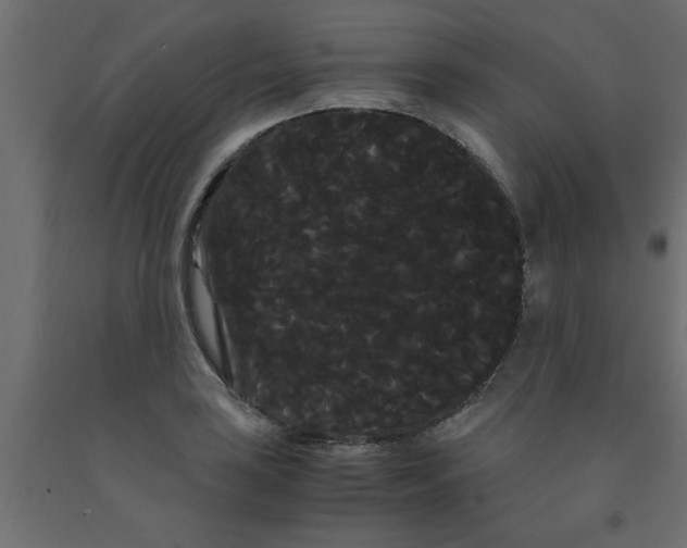 X0000090861035200708241854