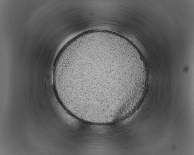 X0000090861036200708241854