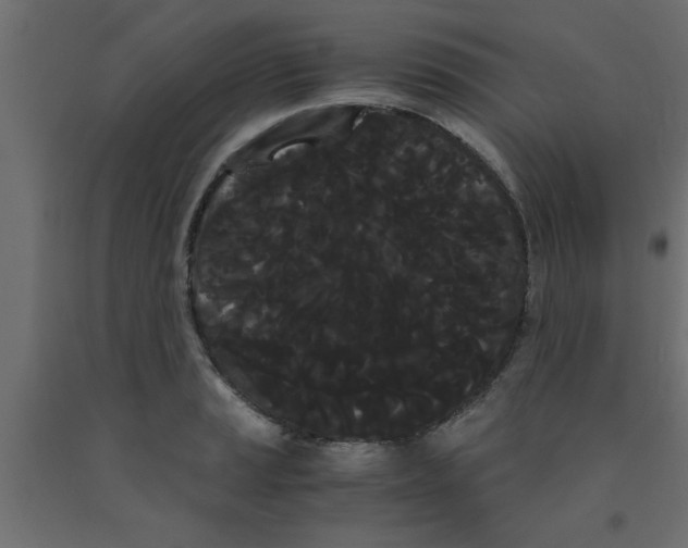 X0000090861037200708241854