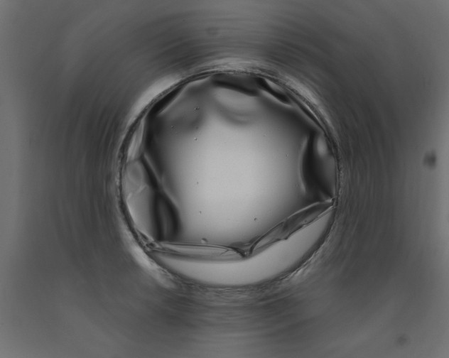 X0000090861042200708241854