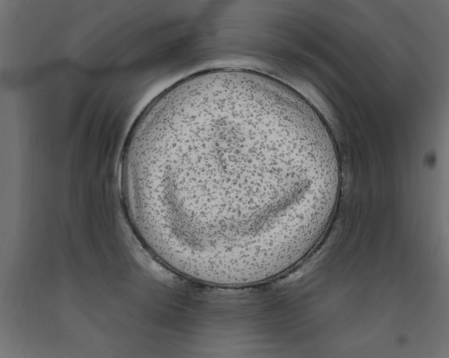 X0000090861044200708241854