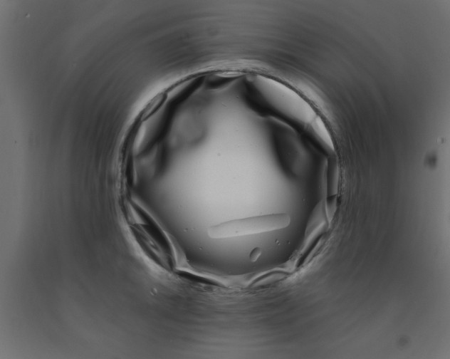 X0000090861046200708241854