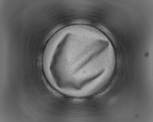 X0000090861049200708241854