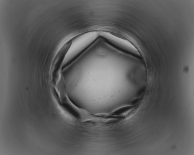 X0000090861050200708241854