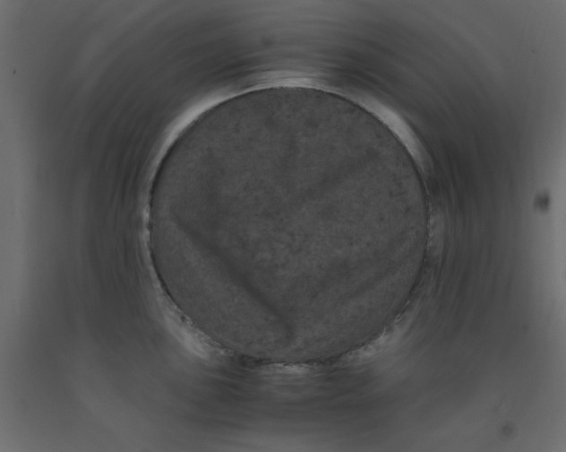 X0000090861051200708241854