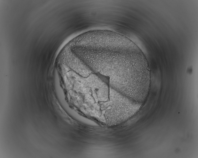 X0000090861052200708241854