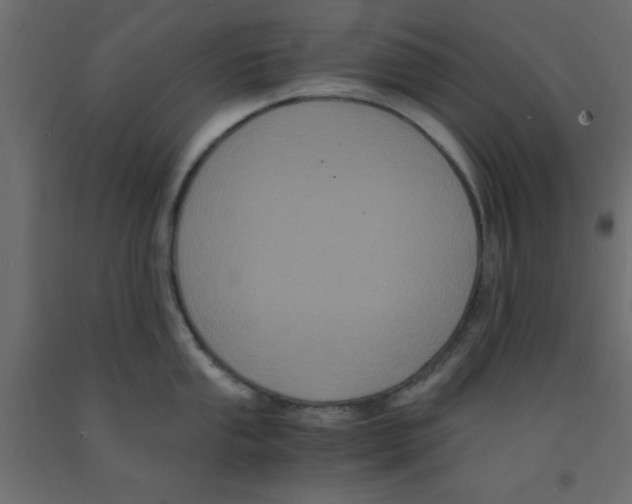 X0000090861053200708241854