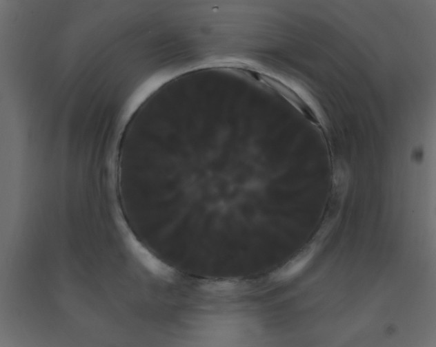 X0000090861054200708241854