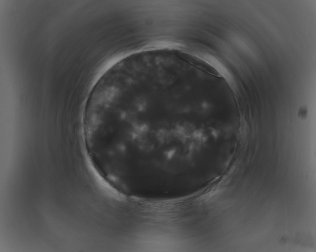 X0000090861055200708241854