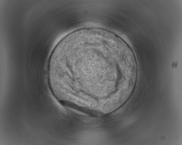 X0000090861056200708241854