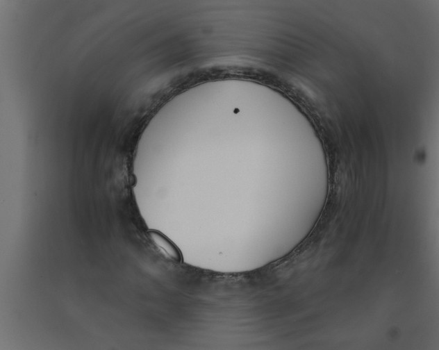 X0000090861062200708241853