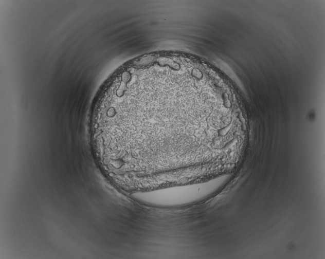 X0000090861068200708241853