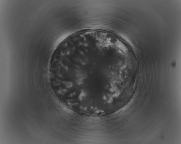 X0000090861071200708241853