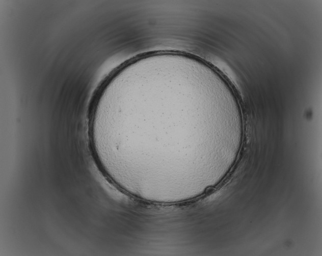 X0000090861072200708241853