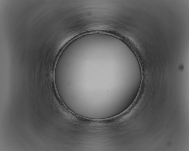 X0000090861073200708241853
