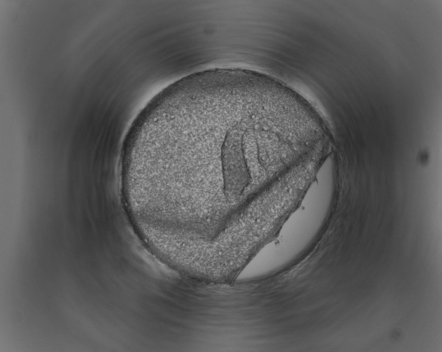 X0000090861076200708241853