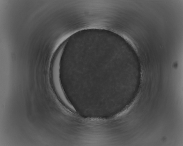 X0000090861077200708241853