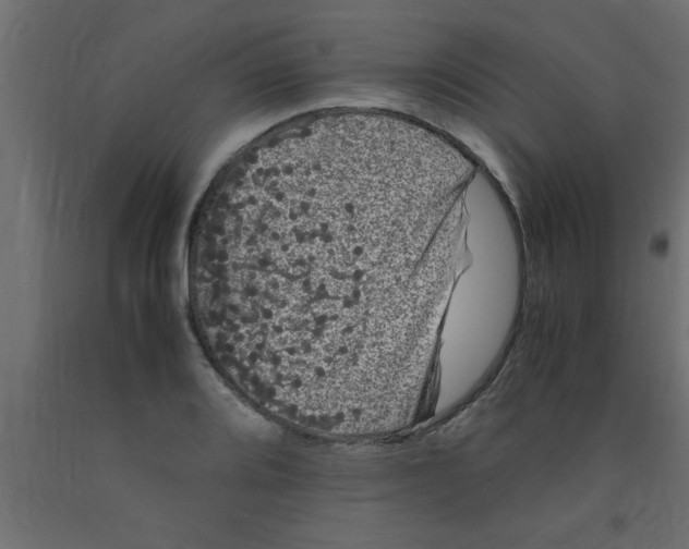 X0000090861080200708241853