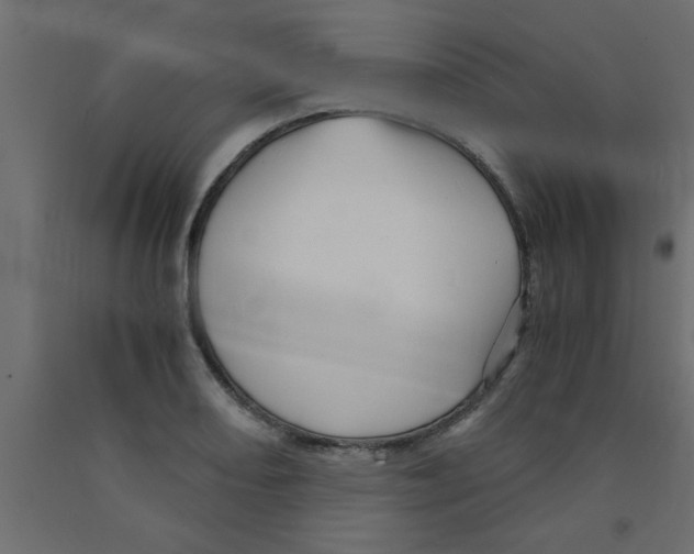 X0000090861082200708241853