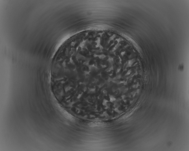 X0000090861083200708241853