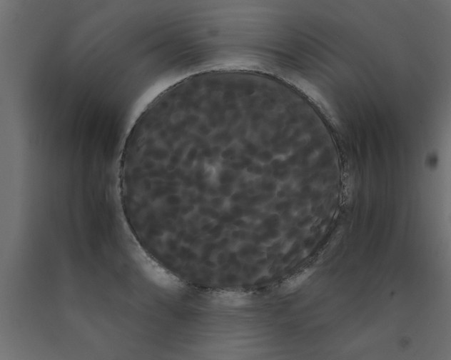 X0000090861086200708241853