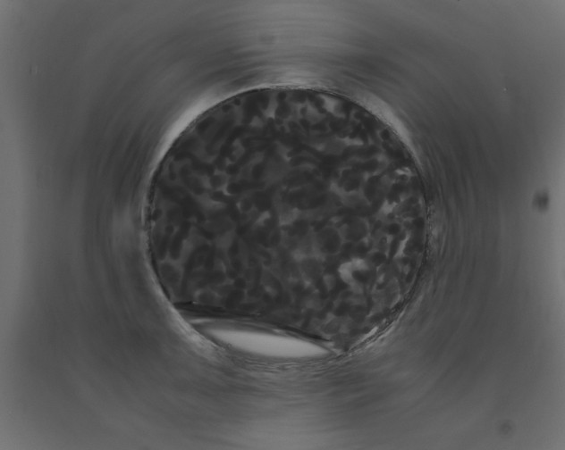 X0000090861091200708241853