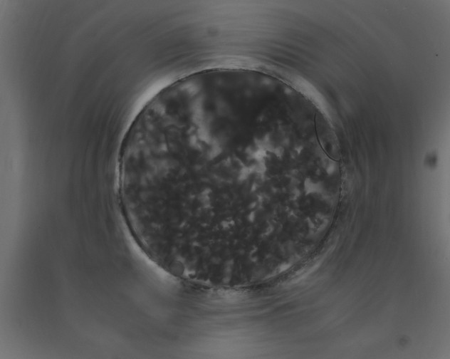 X0000090861095200708241853