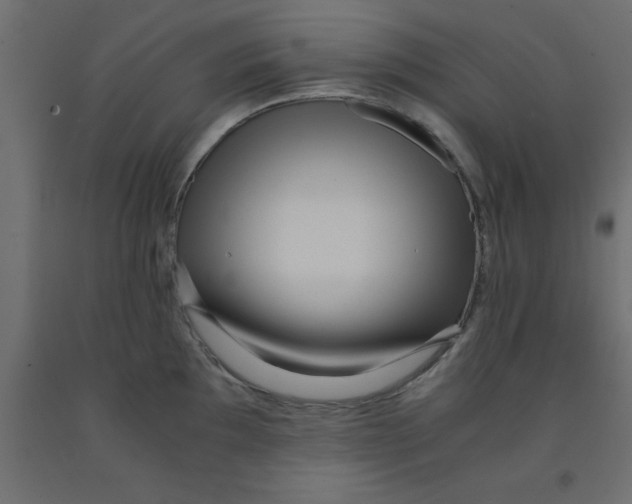 X0000090861097200708241853