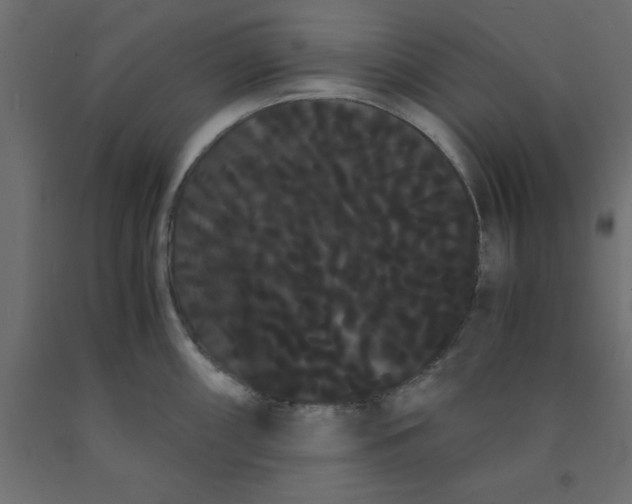 X0000090861098200708241853