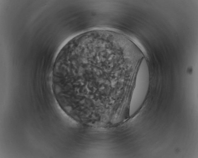 X0000090861100200708241853