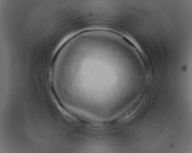 X0000090861101200708241853