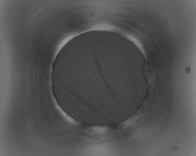 X0000090861103200708241853