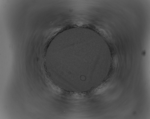 X0000090861105200708241852