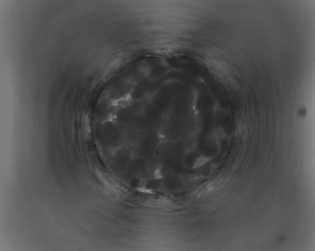 X0000090861106200708241852