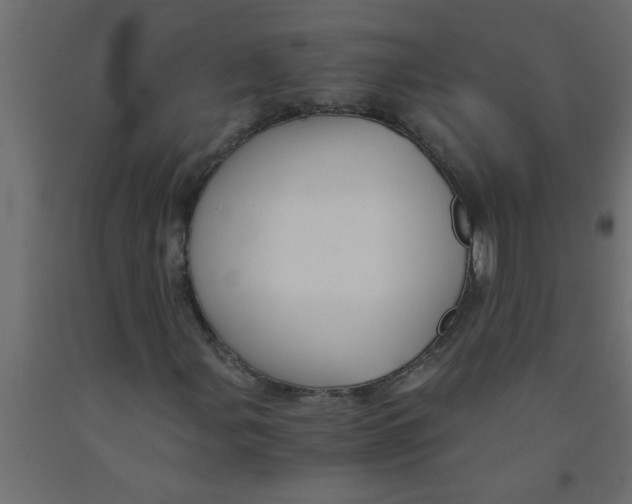X0000090861107200708241852
