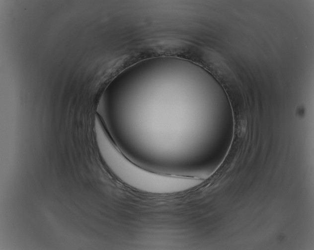 X0000090861108200708241852