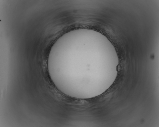 X0000090861109200708241852