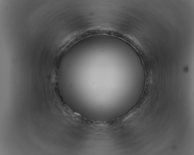 X0000090861110200708241852