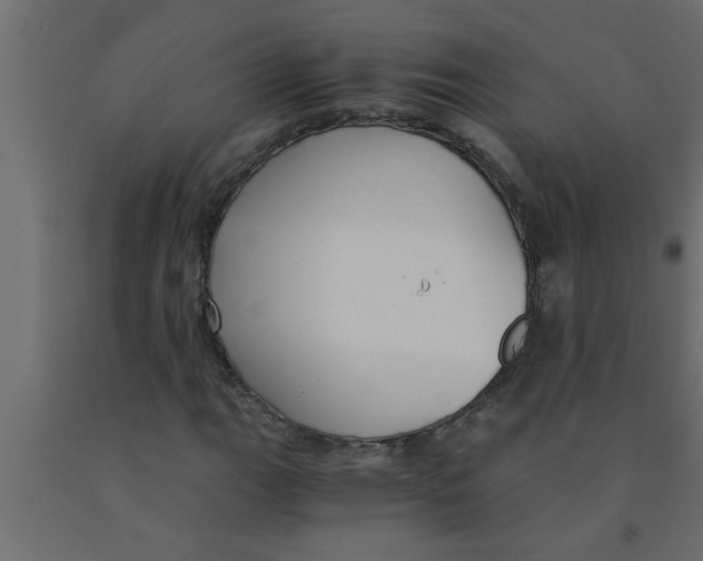 X0000090861111200708241852