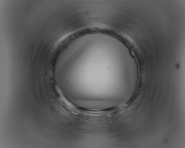 X0000090861112200708241852