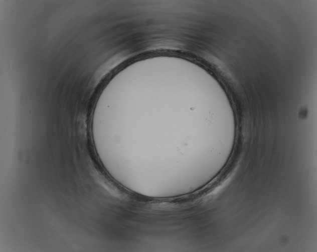 X0000090861113200708241852