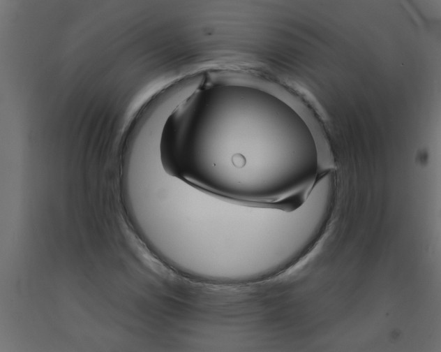 X0000090861114200708241852